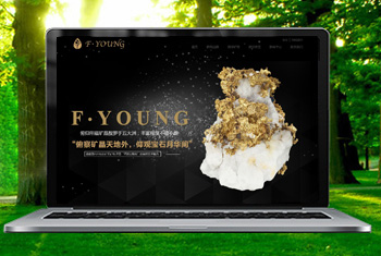 �����ո������ﱦʯ